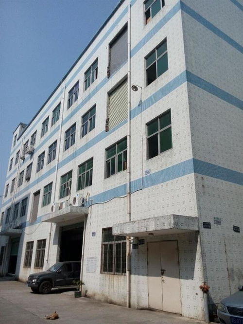 廣州市廠房結構安全檢測公司哪家正規？工程設計需重視專業檢測