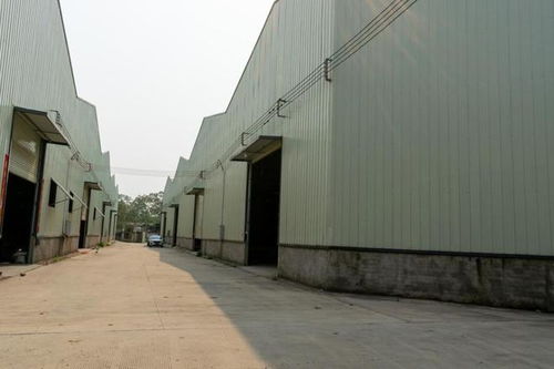 南寧一工廠破產(chǎn)拍賣(mài)引關(guān)注 566.8646萬(wàn)成交價(jià)背后的產(chǎn)業(yè)與歷史變遷